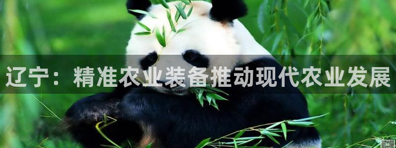 盈顺休闲娱乐室团购