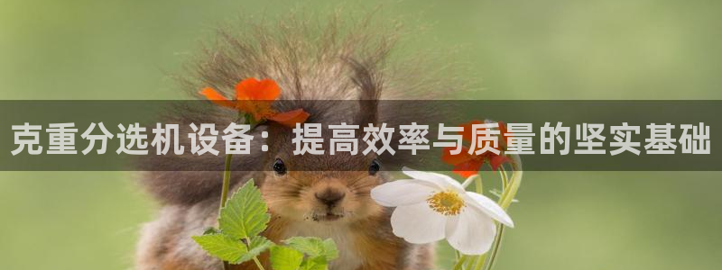 顺盈娱乐平台官网下载：克重分选机设备：提高效率与质量的坚实基
