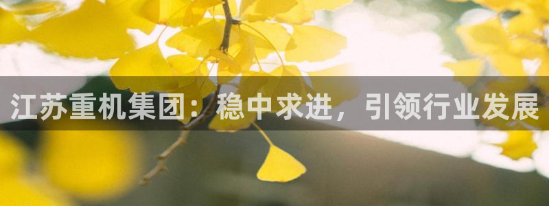 顺盈2娱乐注册平台：江苏重机集团：稳中求进，引领行业发展