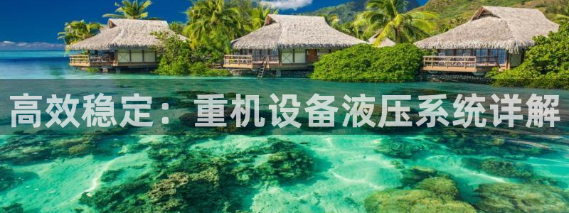顺盈娱乐下载官网：高效稳定：重机设备液压系统详解