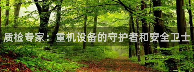 顺盈娱乐怎么退款：质检专家：重机设备的守护者和安全卫士