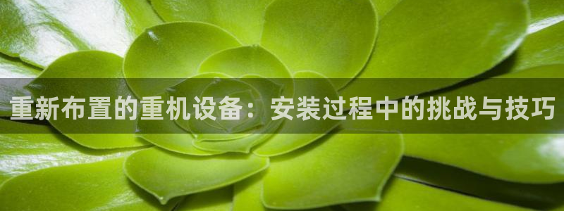 顺盈娱乐28是什么意思：重新布置的重机设备：安装过程中的挑战