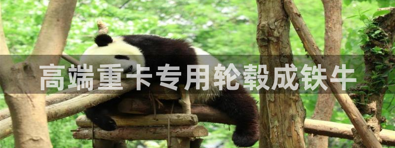 盈顺休闲娱乐室抖音团购：高端重卡专用轮毂成铁牛