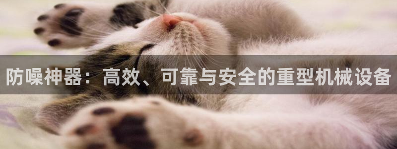 顺盈娱乐指究7276O：防噪神器：高效、可靠与安全的重型机械