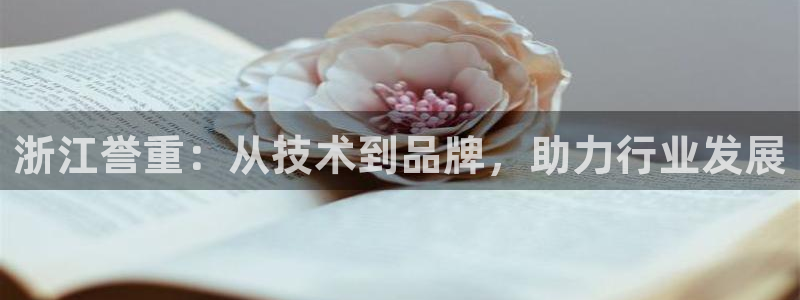 顺盈娱乐下载官网：浙江誉重：从技术到品牌，助力行业发展