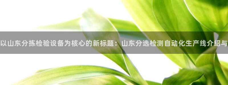 顺盈娱乐登录平台网址：以山东分拣检验设备为核心的新标题：山东