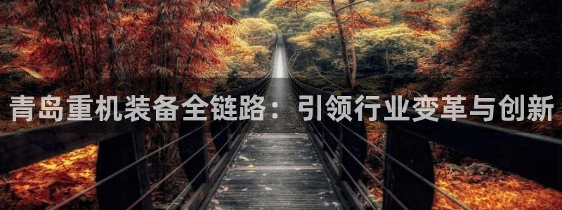 顺盈娱乐主管后原判官333OO