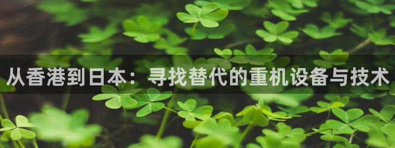 顺盈娱乐开户：从香港到日本：寻找替代的重机设备与技术