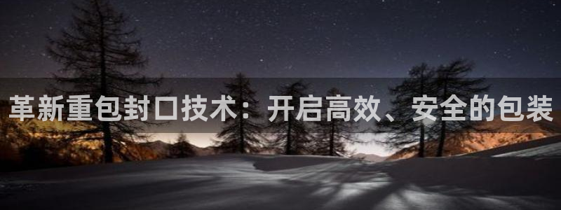 清远顺盈娱乐公司：革新重包封口技术：开启高效、安全的包装