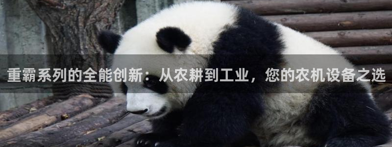 顺盈娱乐形究7276O