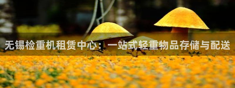 顺盈娱乐在线开户