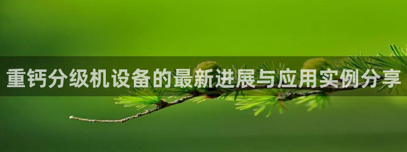 顺盈娱乐彩票官网