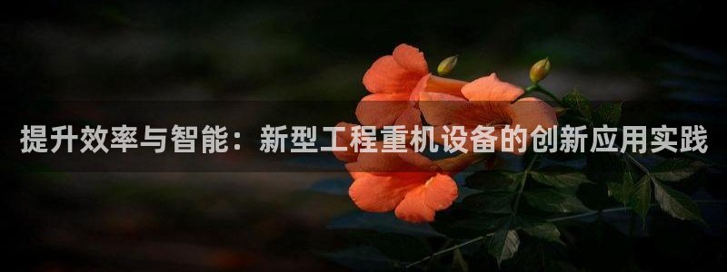 顺盈娱乐主管联天神779O3