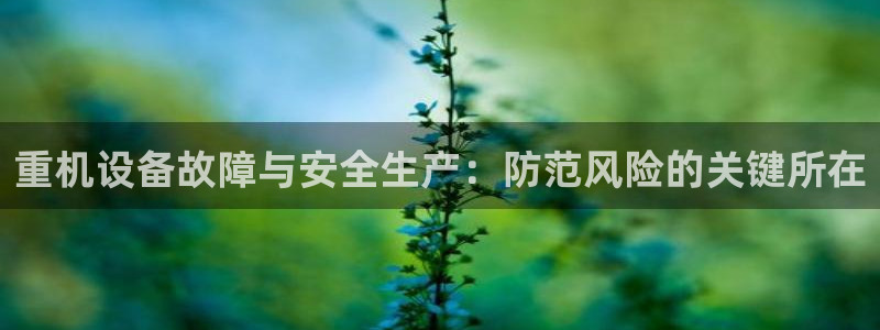 顺盈娱乐平台官网电话