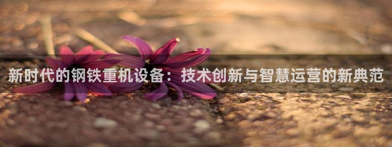 顺盈娱乐注册登录平台