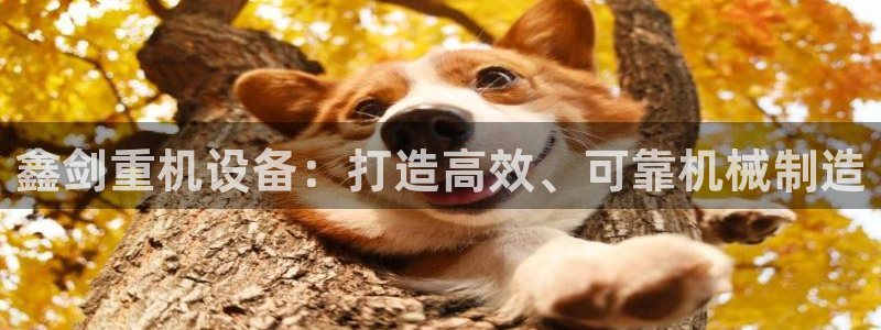 顺盈娱乐下载安装官方