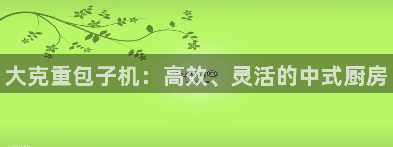 顺盈娱乐28是什么?：大克重包子机：高效、灵活的中式厨房
