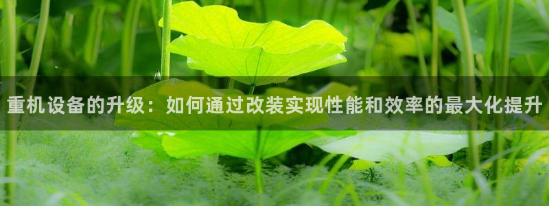 顺盈娱乐官网下载：重机设备的升级：如何通过改装实现性能和效率