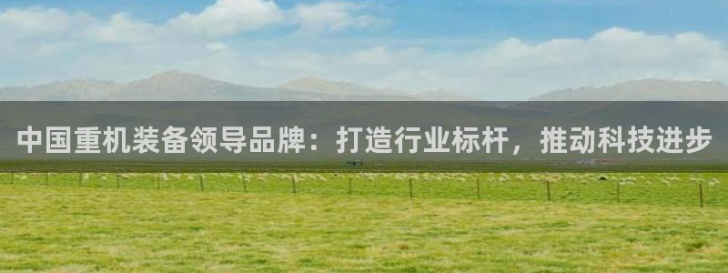 顺盈娱乐 炤企鹅779O3