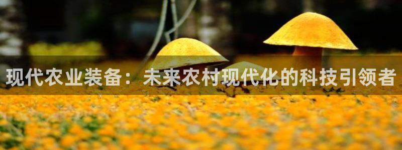 顺盈娱乐李333OO