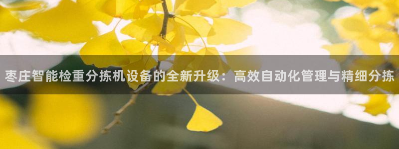 清远顺盈娱乐集团